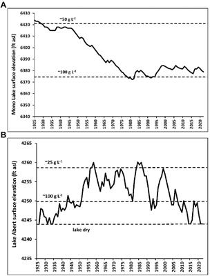 Developmental and reproductive costs of osmoregulation to an aquatic insect that is a key food resource to shorebirds at salt lakes threatened by rising salinity and desiccation